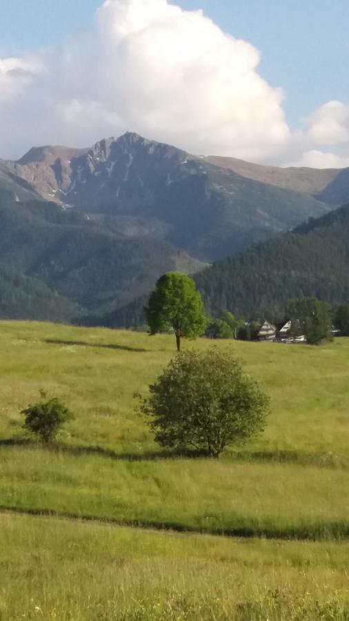 Domek Pod Ubocom Zakopane Extérieur photo